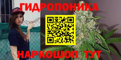 ECSTASY Владивосток