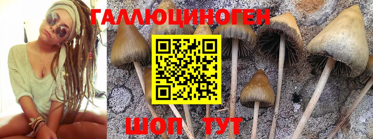 Галлюциногенные грибы прущие грибы Киселёвск