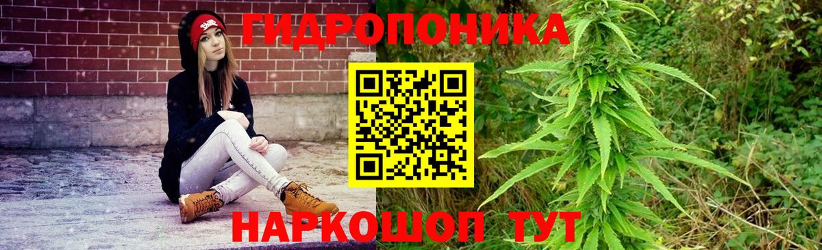 Бошки Шишки THC 21%  Вход с VPN  Киселёвск  МАРИХУАНА планчик  МАРИХУАНА план  Бошки марихуана LSD WEED 